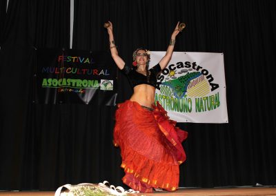 Festival Multicultural de Asocastrona