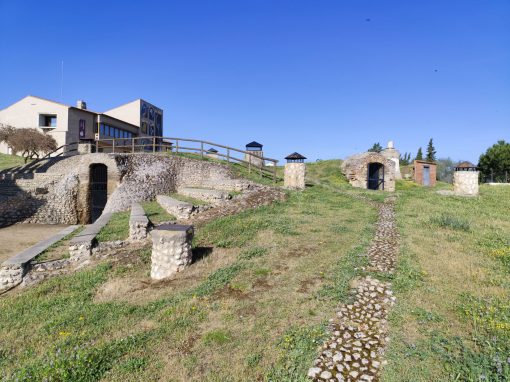 Bodegas
